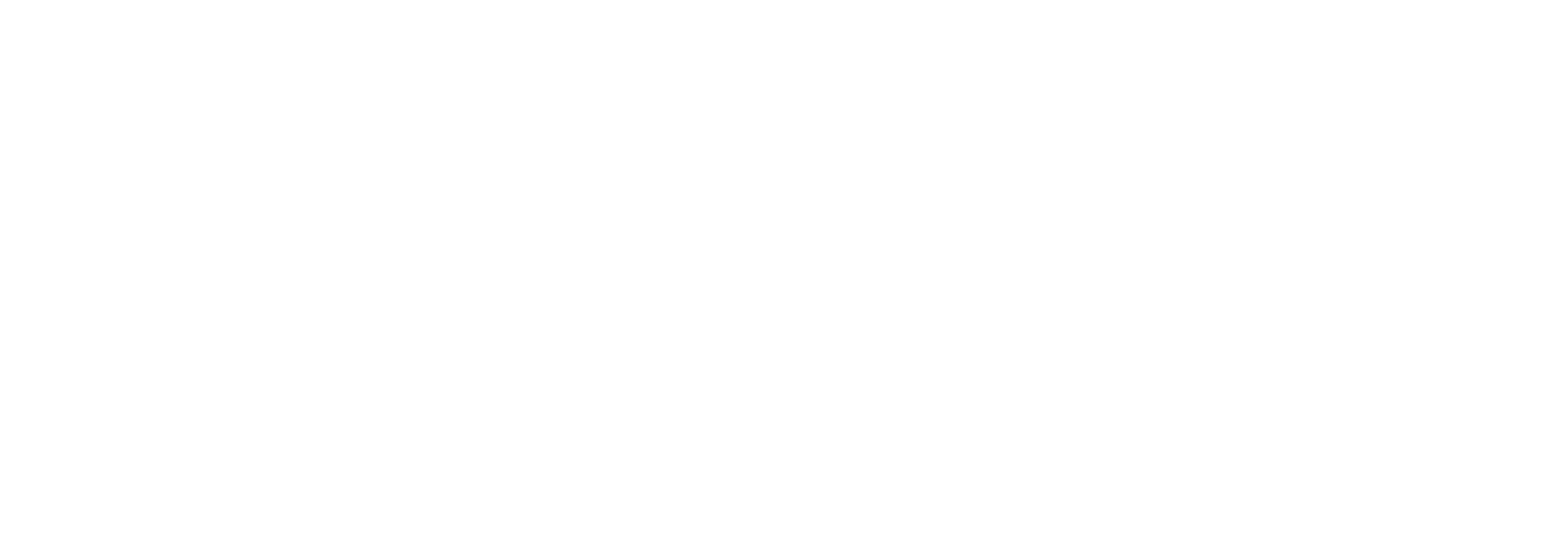 BTWIN Logo